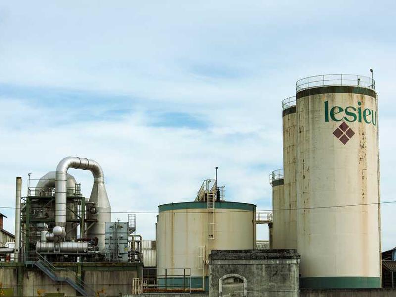 Chickpea Stew with Spinach