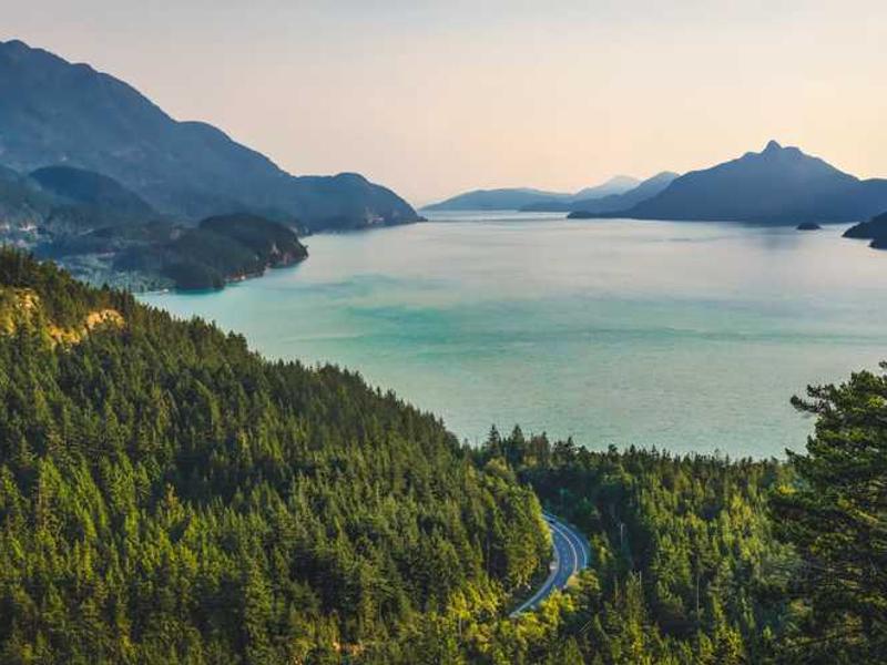 Grilled Lamb Chops with Herbs