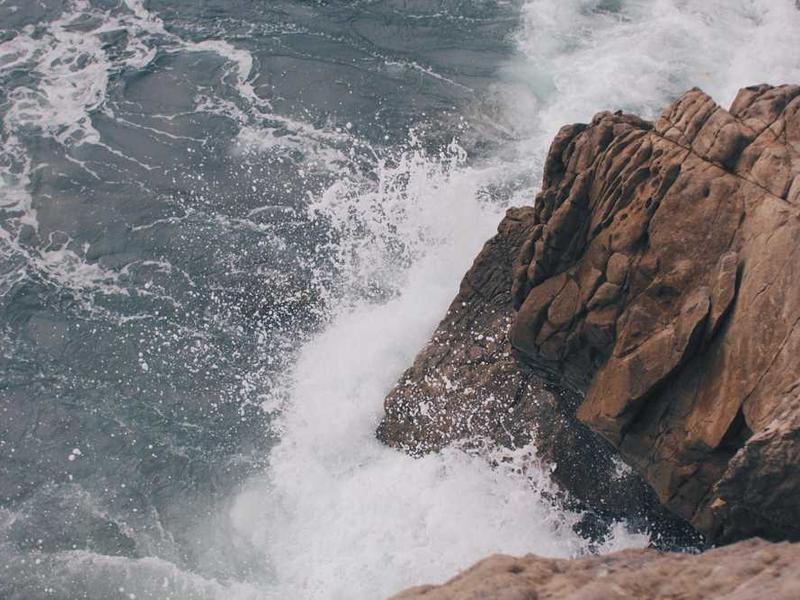 Lemon Herb Grilled Fish